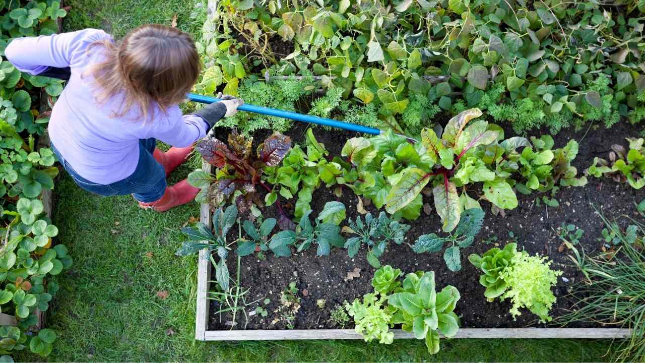 benefits of gardening