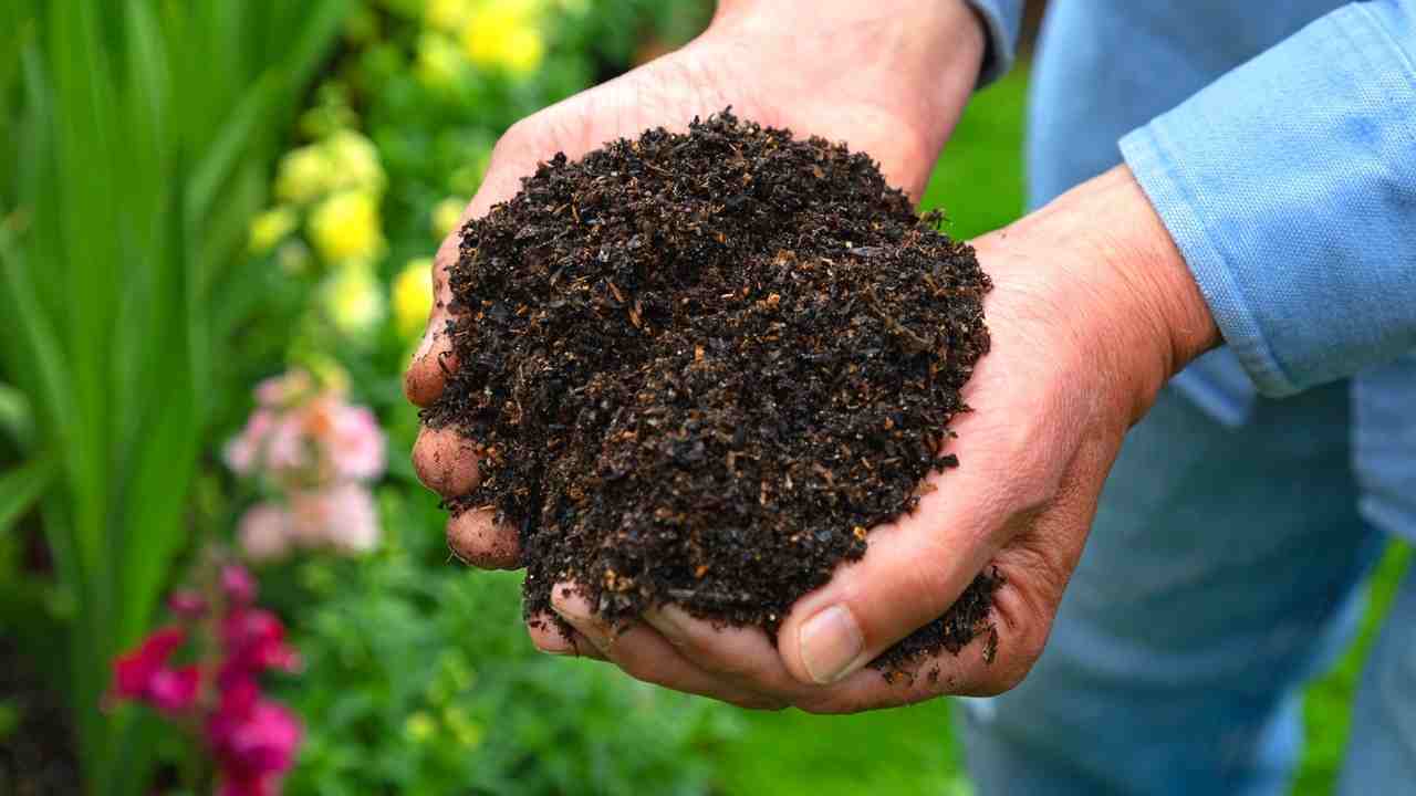 Composting for Beginners - The Upbeet Gardener