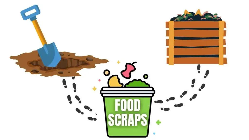 Compost food waste