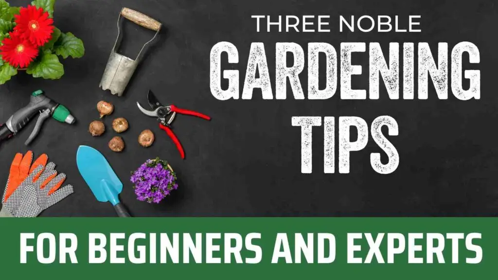 gardening tips tools
