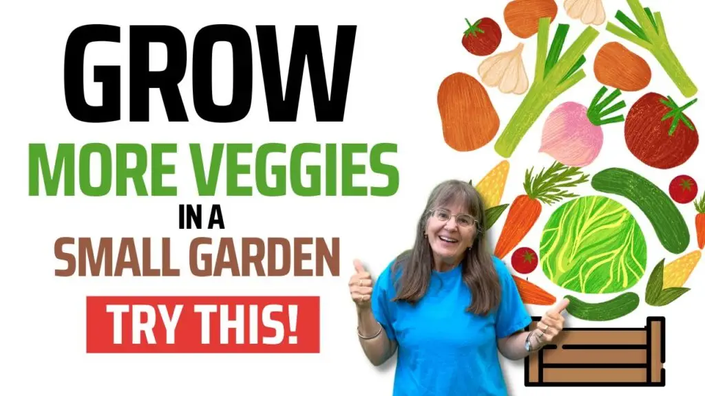 grow veggies
