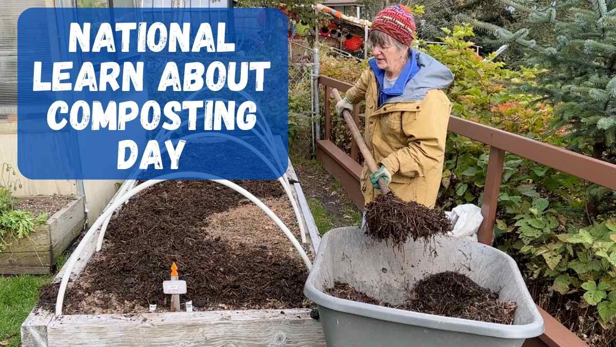 Why I Love Composting: A True Compost Story | The Upbeet Gardener
