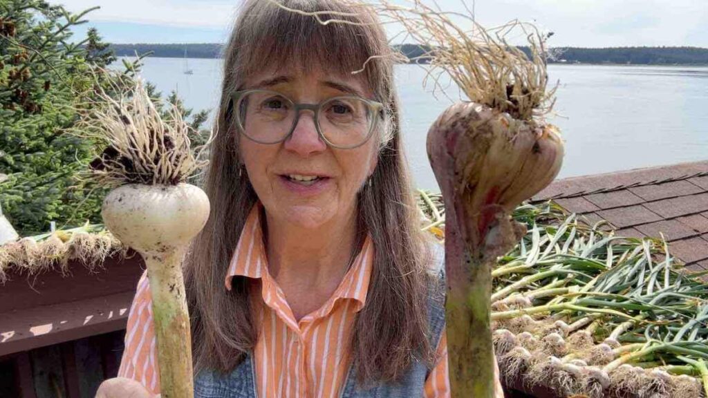 choosing garlic for storage