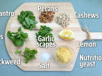 garlic scape recipe
